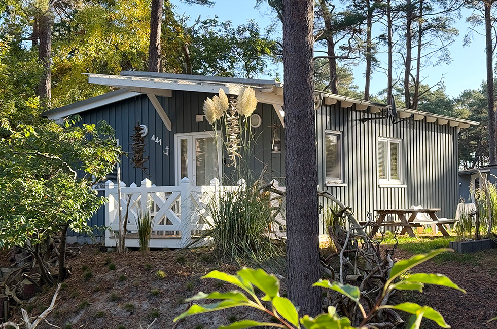 sk_contquer_01-980×650