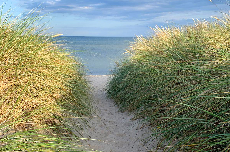 Nordstrand Göhren Strandkiste Rügen Nordstrand Göhren Strandkiste Rügen